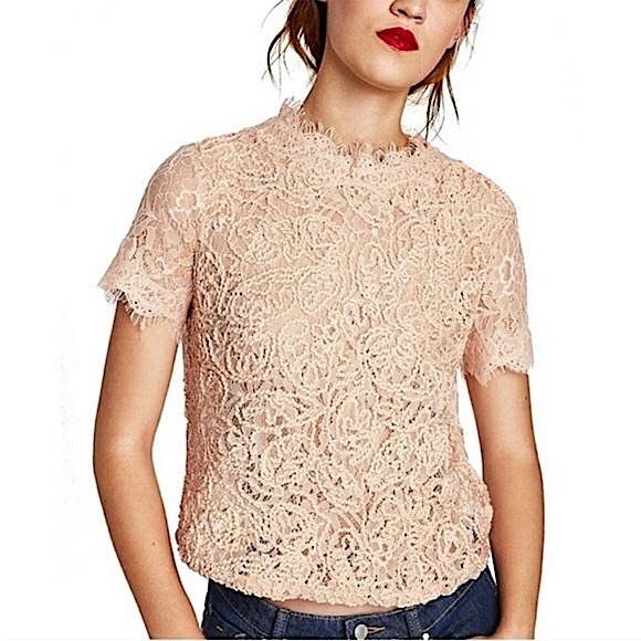 ZARA Trafaluc Rose Peach Pink Lace Crochet Embroidered Short Sleeve Top - Picture 1 of 7
